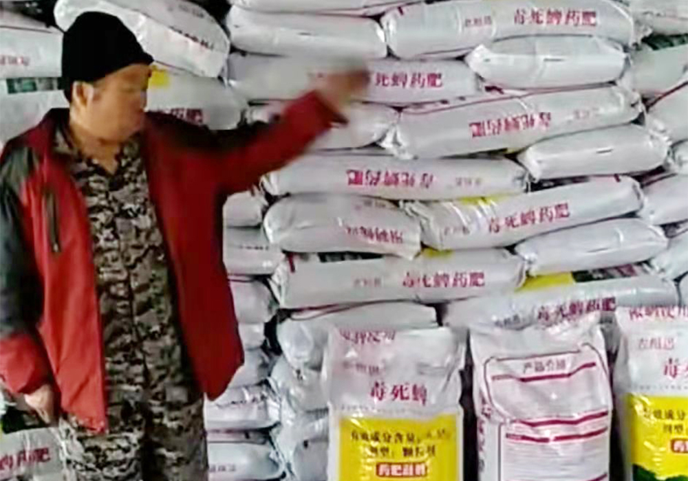 經典案例