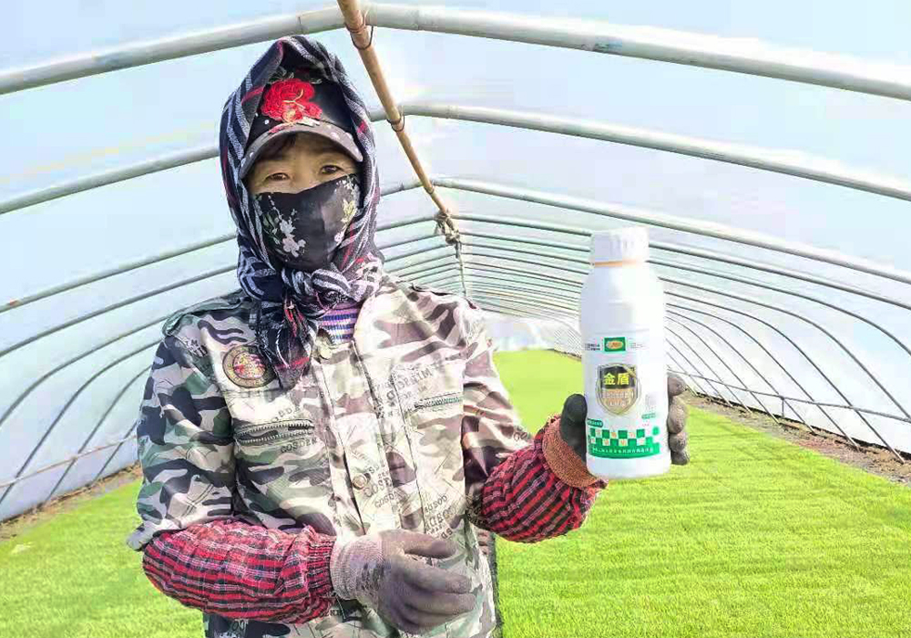 經典案例