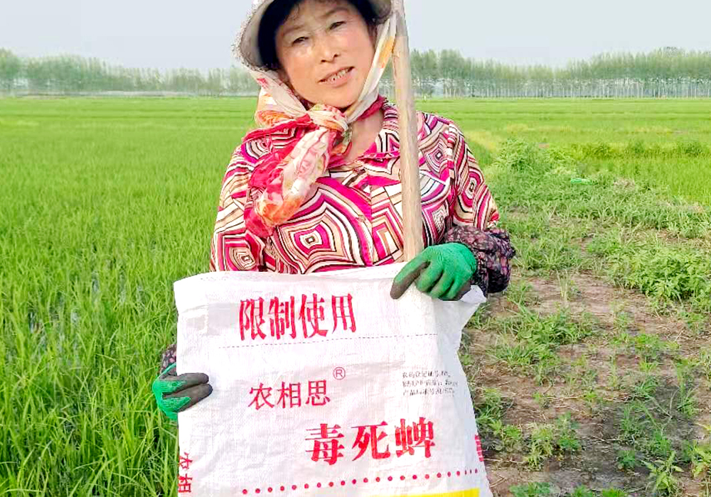 經典案例